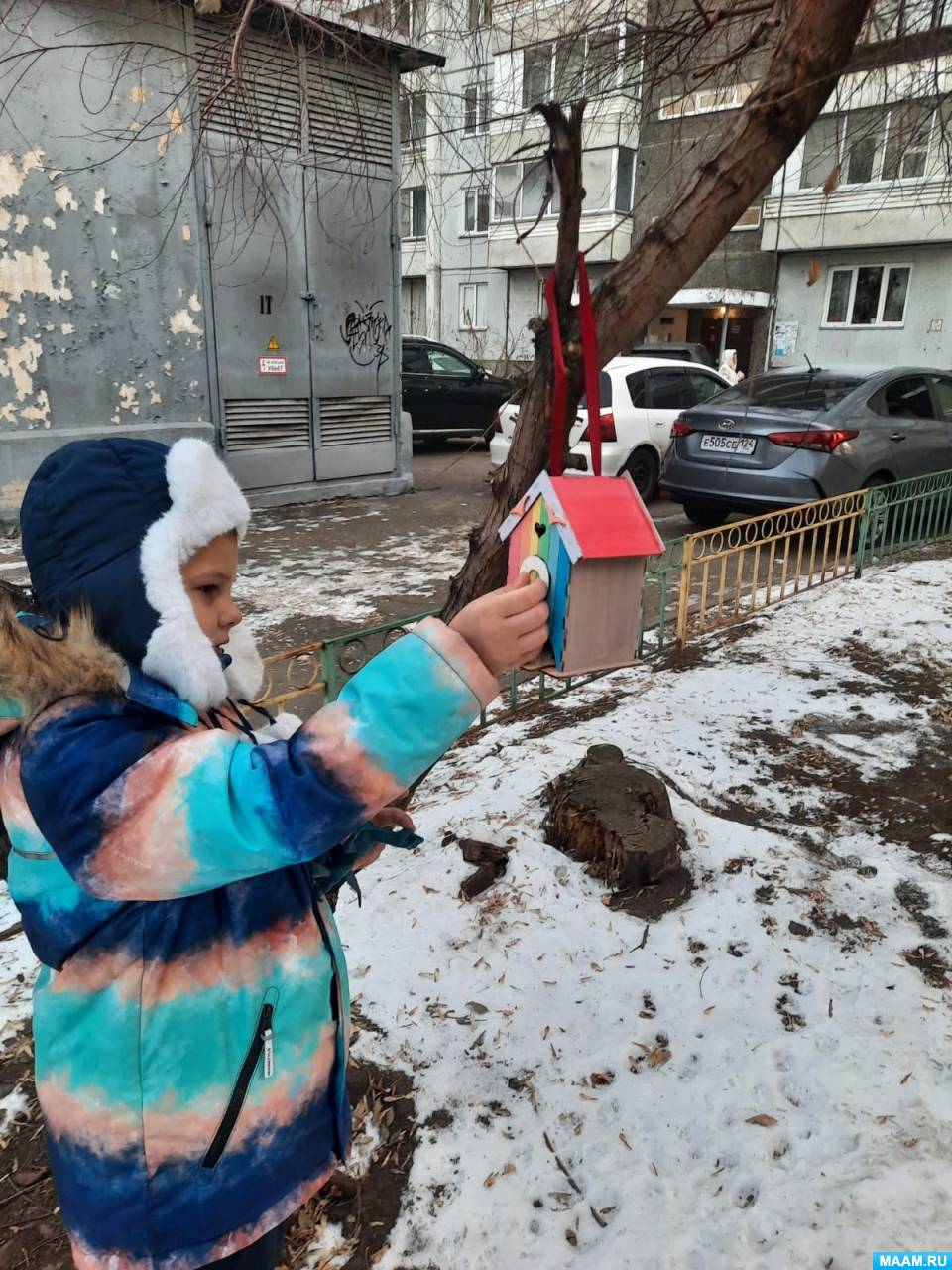 Смотреть фотографию №1 Фото №1 Зимой в Сибири птицам холодно и голодно