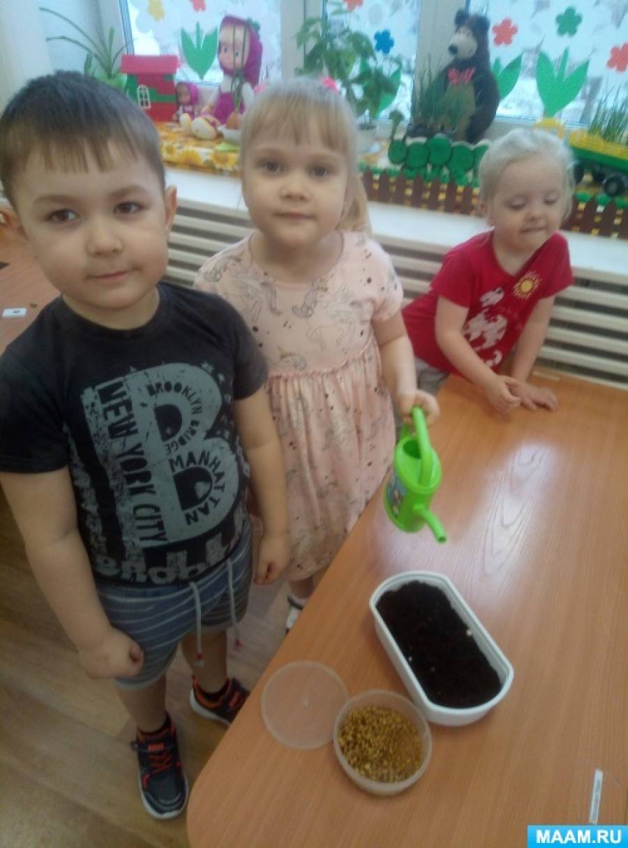 Смотреть фотографию №7 Фото №7 На первом этапе было наблюдение за посадкой лука