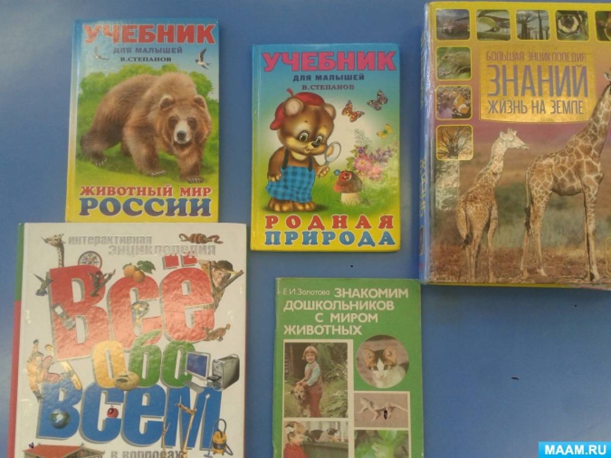 Фотоотчет «День леса»