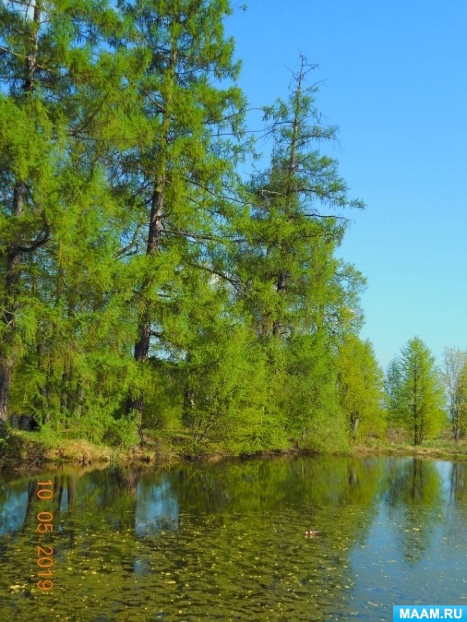 ��������� ������� �� ���� ������ ��� ������� ������