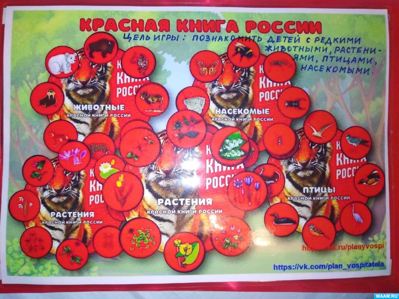 Дидактическая игра по экологии для детей старшего дошкольного возраста «Красная книга России»
