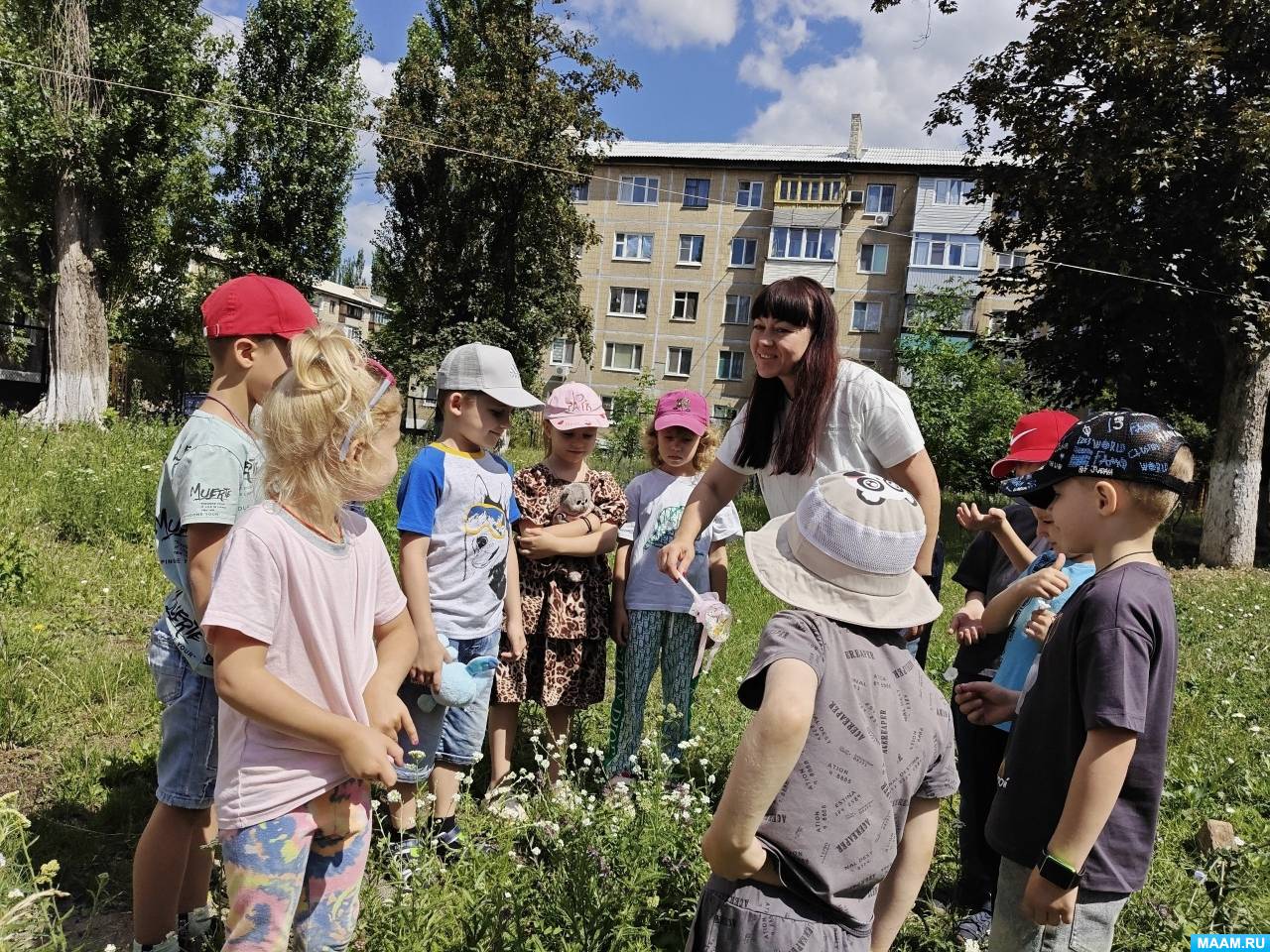 ��������-��������� �� ���������� �������� ���� ����������� � �������� � �������������� ���������� ��� ������� ������������