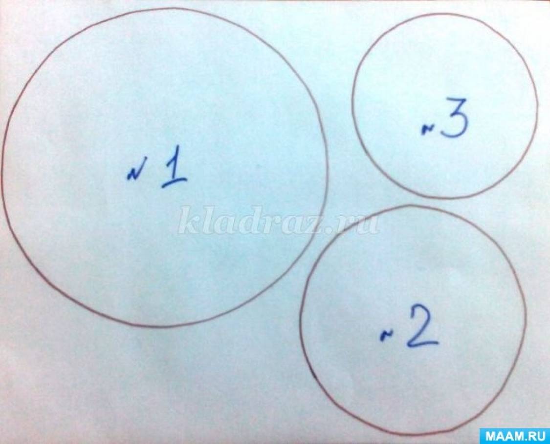 Саша вырезал из картона три круга разных