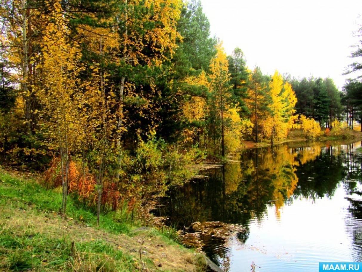 Фотозарисовка прогулки в парк «Золотая осень» Фото Фотозарисовка прогулки в парк «Золотая осень»
