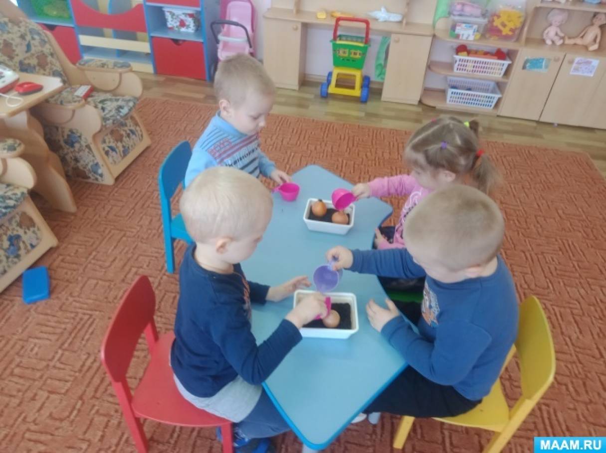 Конспект опытно-экспериментального занятия «Посадка лука» (5 фото ...