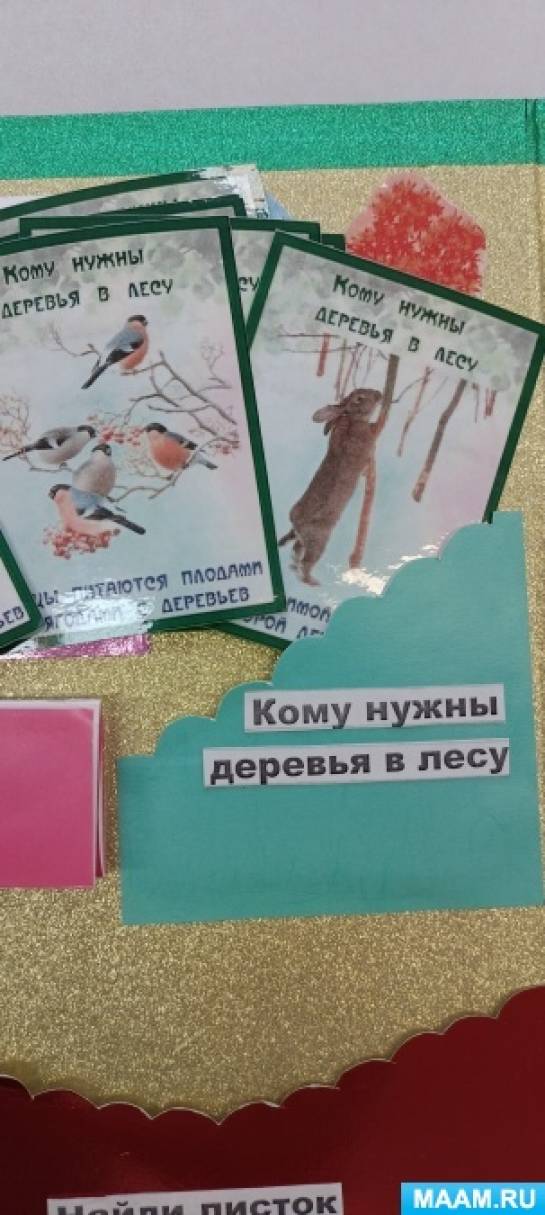 Смотреть фотографию №2 Фото №2 Воспитание бережного отношения к природе