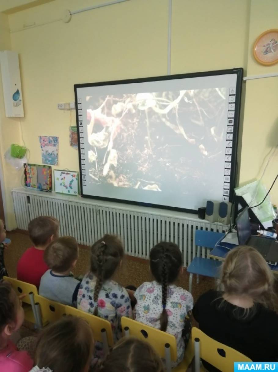 Смотреть фотографию №3 Фото №3 В МДОУА Детский сад г