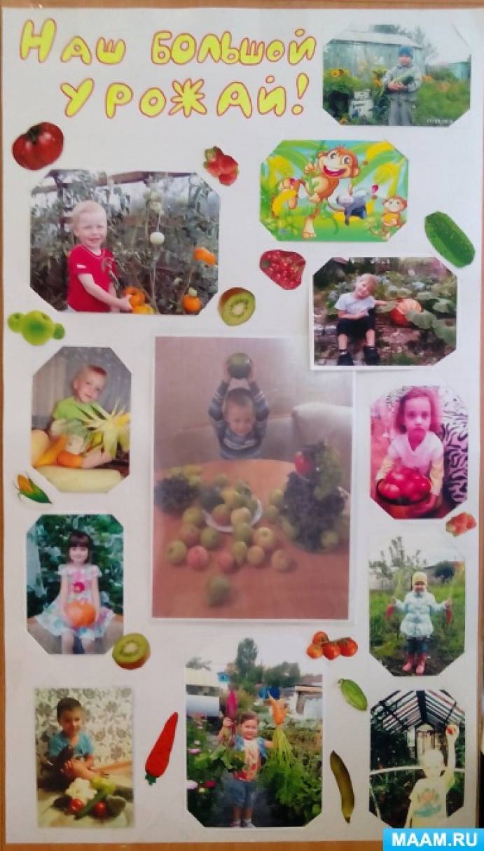 О пользе овощей и фруктов детям картинки