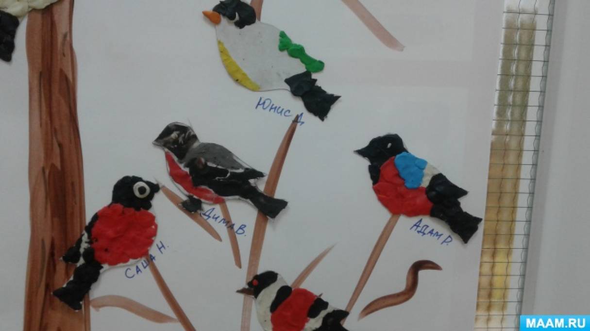 Тема пернатые друзья средняя группа. Рисование зимующие птицы старшая группа. Рисование птицы в подготовительной группе. Рисование зимующие птицы подготовительная группа. Тематическая неделя зимующие птицы.