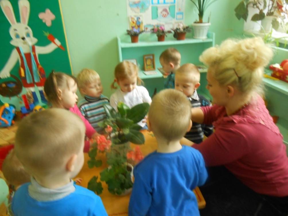 «У меня живет цветок». Наблюдение за объектами природы (первая младшая группа) Фото «У меня живет цветок». Наблюдение за объектами природы (первая младшая группа)