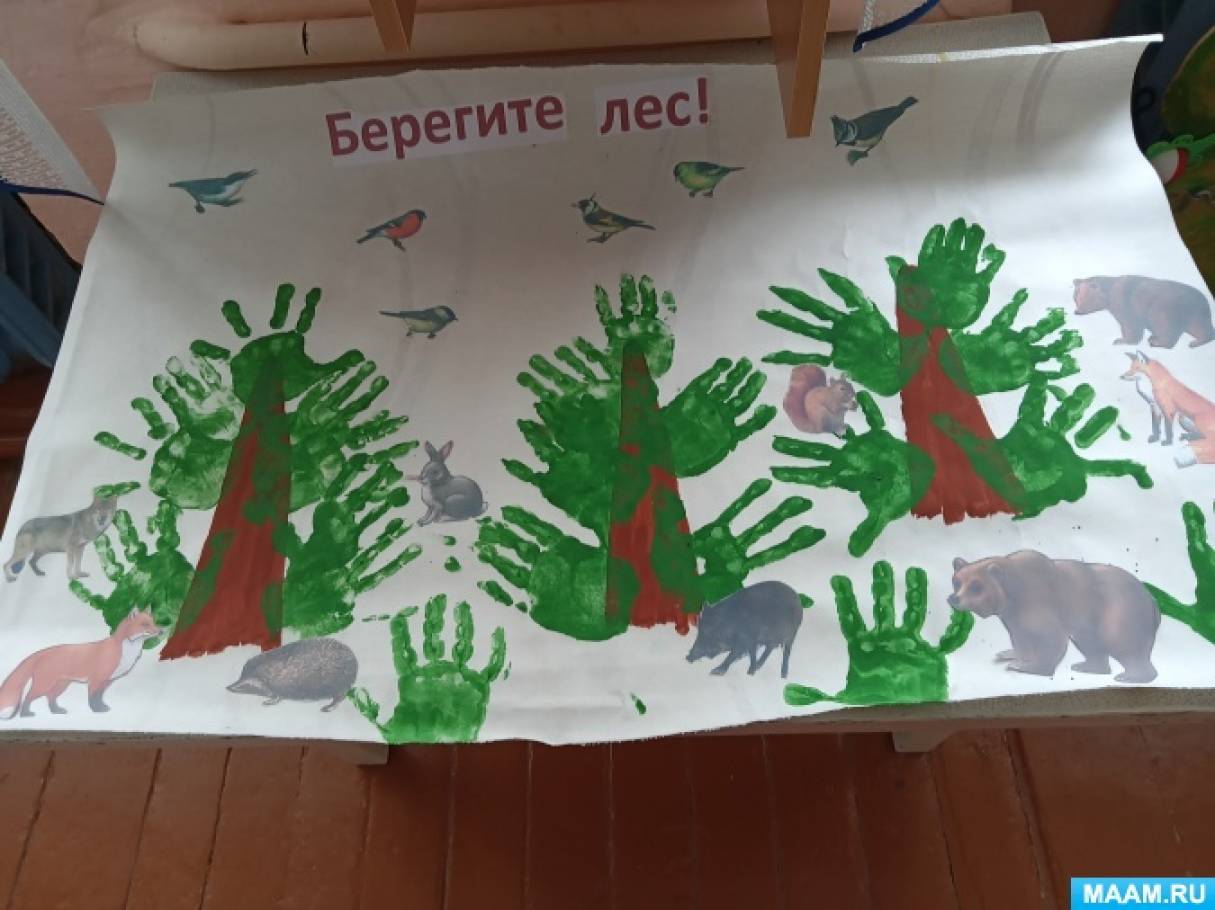 День леса средняя группа в детском саду