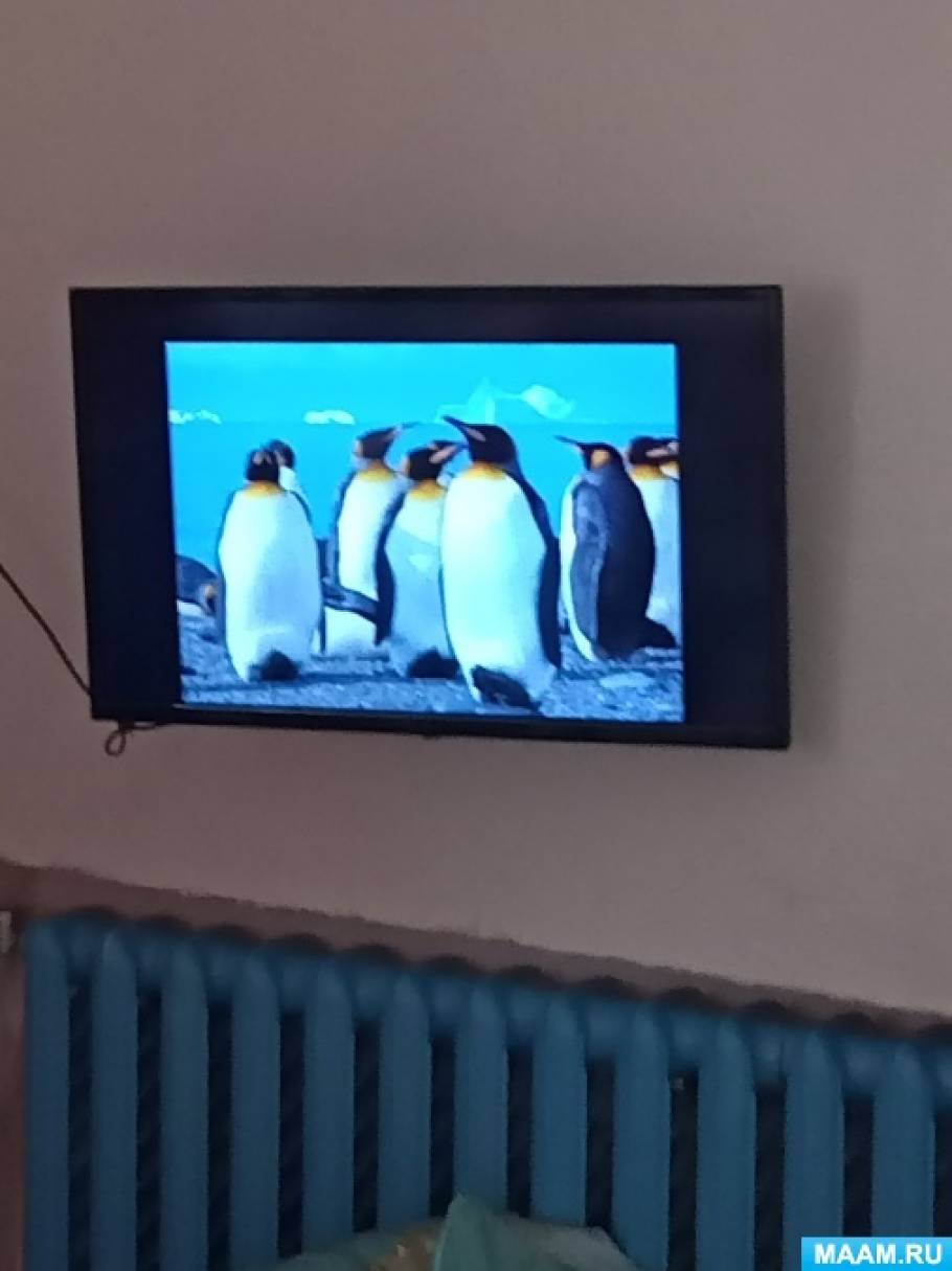 Фотоотчет о проведении Дня пингвина в младшей группе