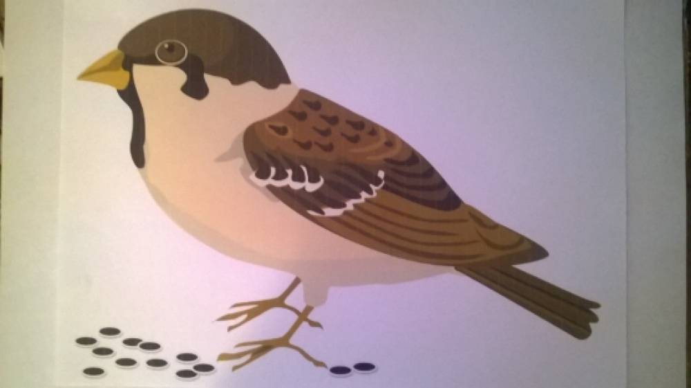 рисование птицы в подготовительной группе. средняя группа воробушки. воробьи живопись. группа воробушки детский сад. воробьи в лужах рисование средняя группа.