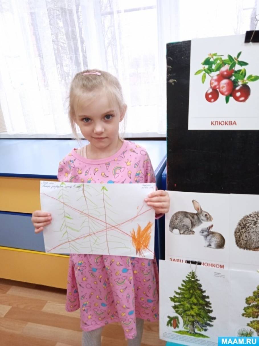 Беседа на тему «Всемирный день леса»