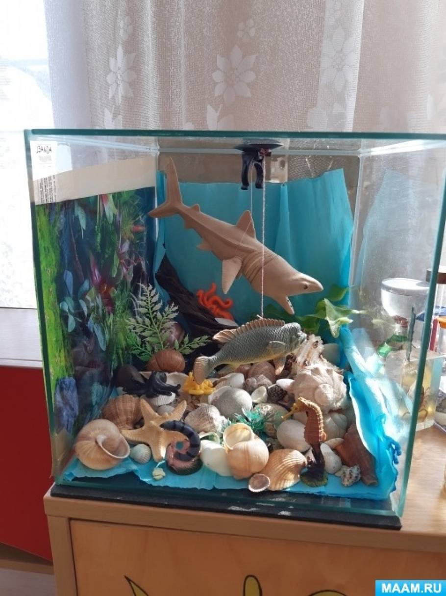Морской аквариум для уголка природы