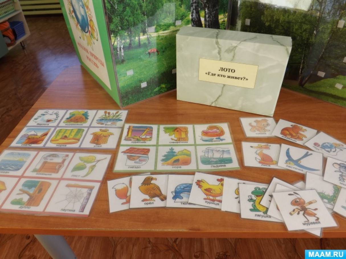Экологические игры для младших. Экологические игры для дошкольников. Экологические игры для школьников. Экологические игры для детей 6-7 лет. Экологическое лото.