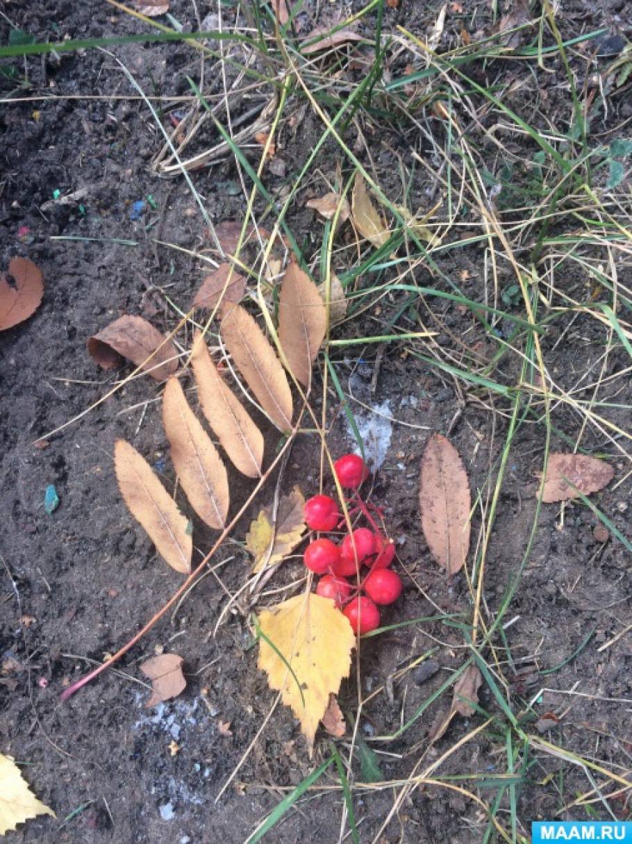 ���������� �� �������� �������젗 �����, �����������