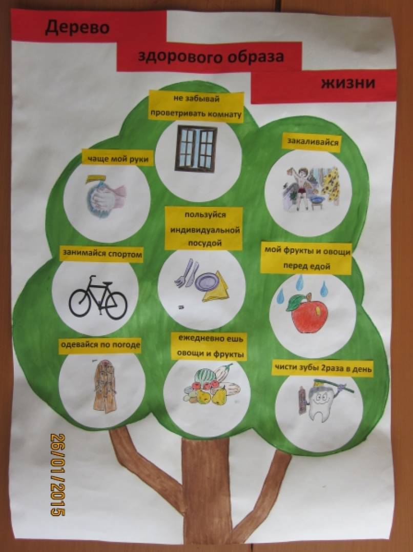 Про здоровье старшая группа. Плакат дерево здоровья. Плакат дерево ЗОЖ. Дерево здоровья для дошкольников. Дерево здоровья в детском саду.