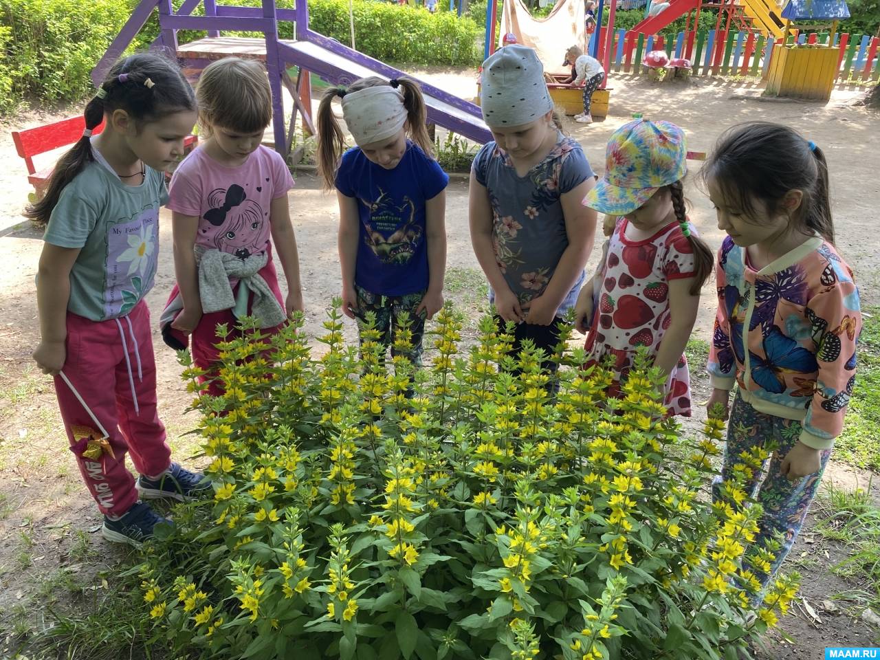 Значение летних прогулок в жизни детей. Фотоотчет