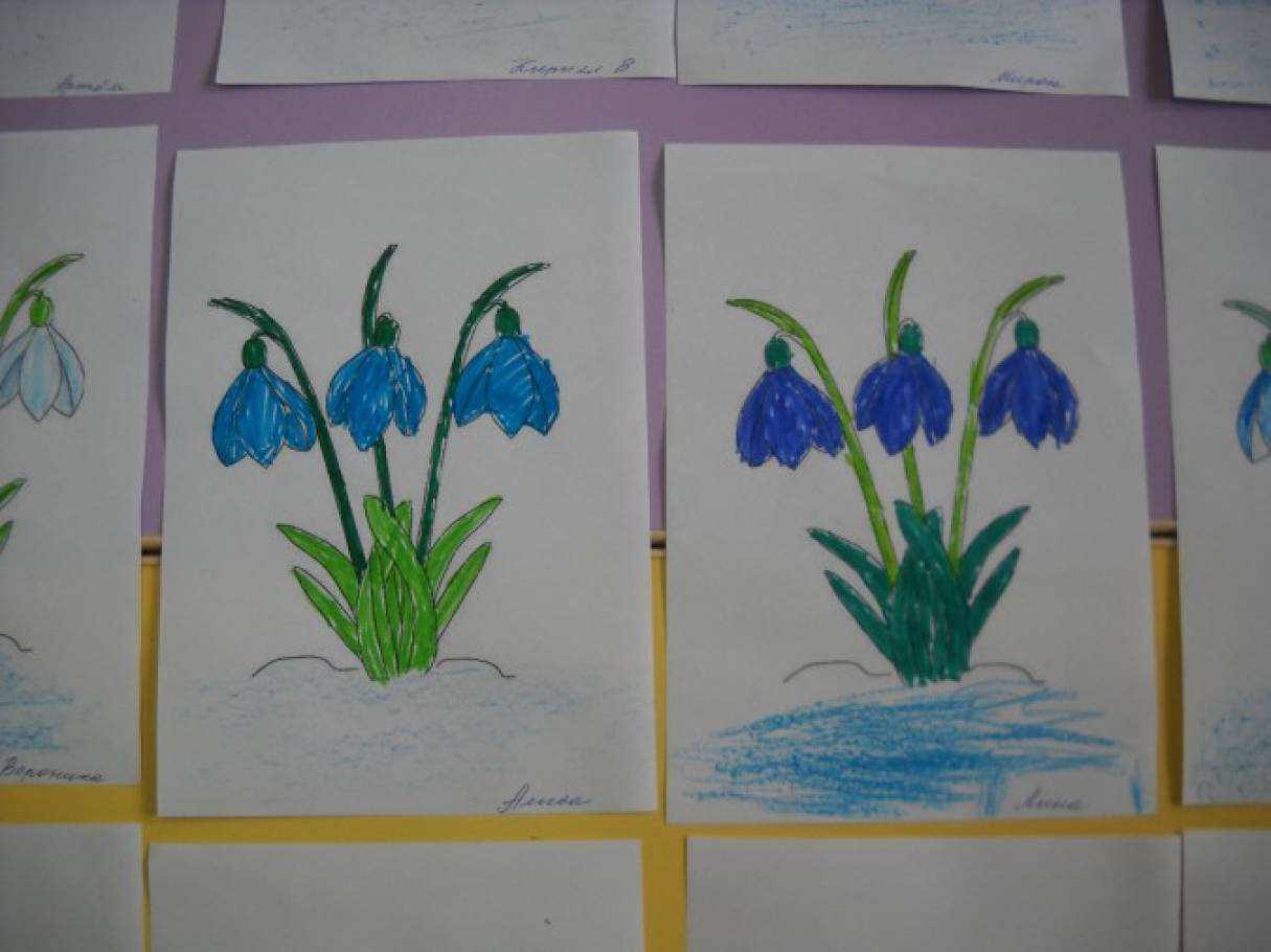 Рисование весенние цветы младшая группа. Рисование первоцветы в подготовительной группе. Рисование для детей подснежники средняя группа. Рисование подснежники в старшей группе. Рисование подснежники в подготовительной группе.