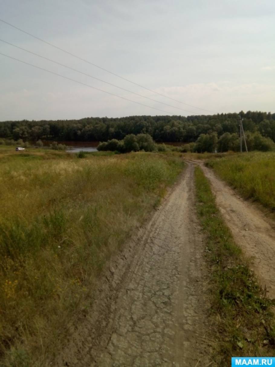 Стихи про лето для детей дошкольного возраста Фото Стихи про лето для детей дошкольного возраста