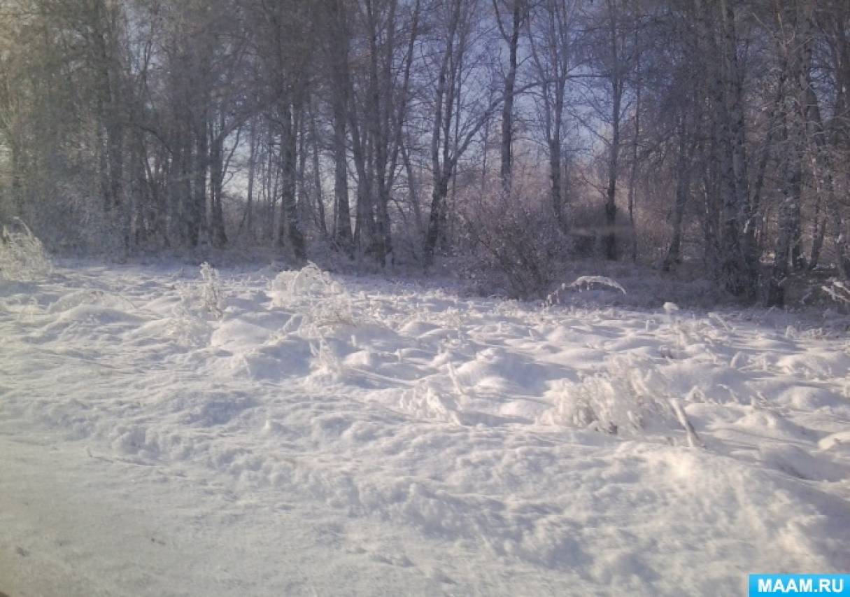 Консультация для родителей что наблюдать в природе зимой. Смотреть фото Консультация для родителей что наблюдать в природе зимой. Смотреть картинку Консультация для родителей что наблюдать в природе зимой. Картинка про Консультация для родителей что наблюдать в природе зимой. Фото Консультация для родителей что наблюдать в природе зимой
