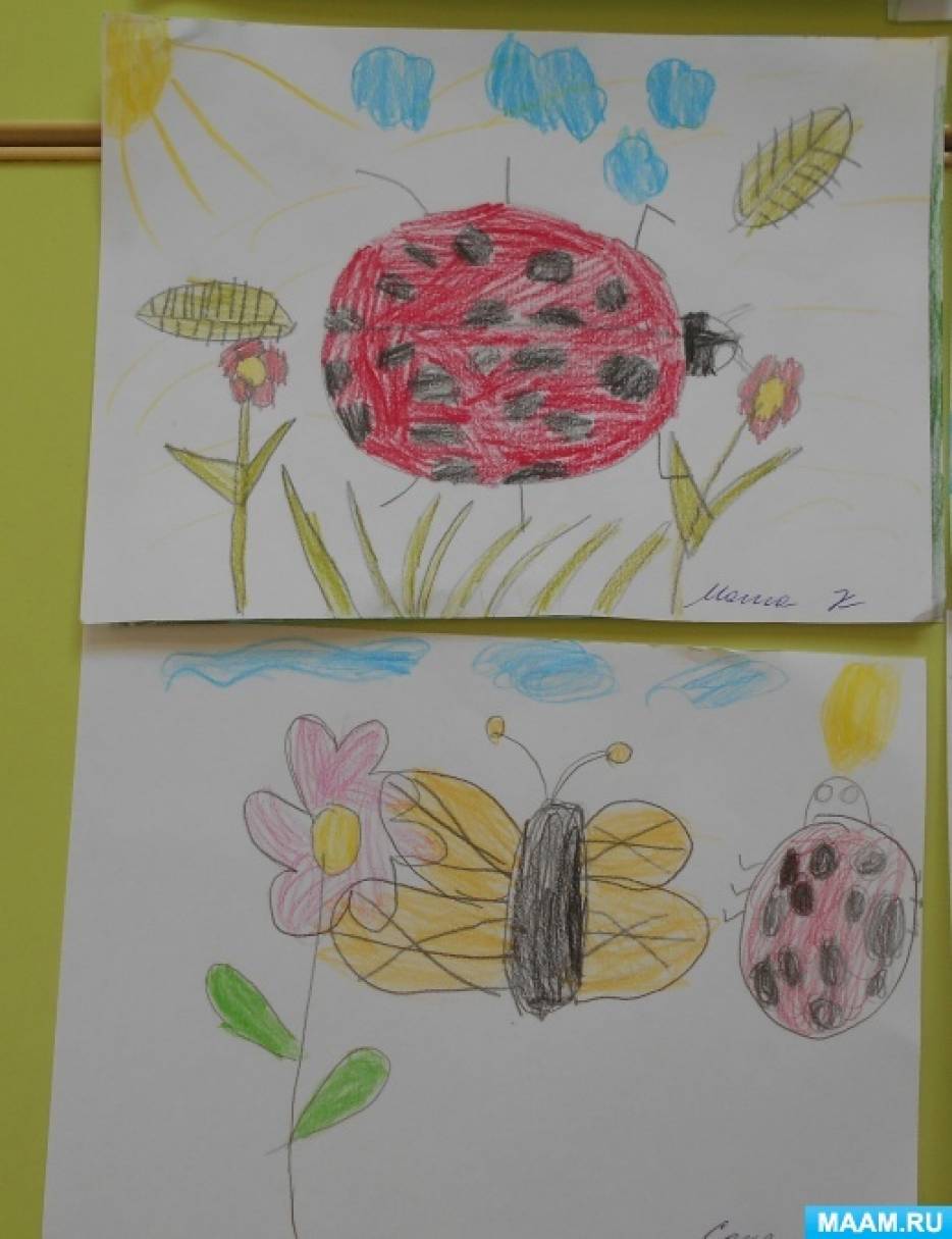 Рисование на тему насекомые в старшей группе. Насекомые на цветах рисование старшая группа.