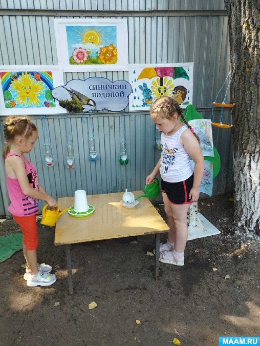 Экологический проект «Синичкин водопой» для подготовительной к школе группы