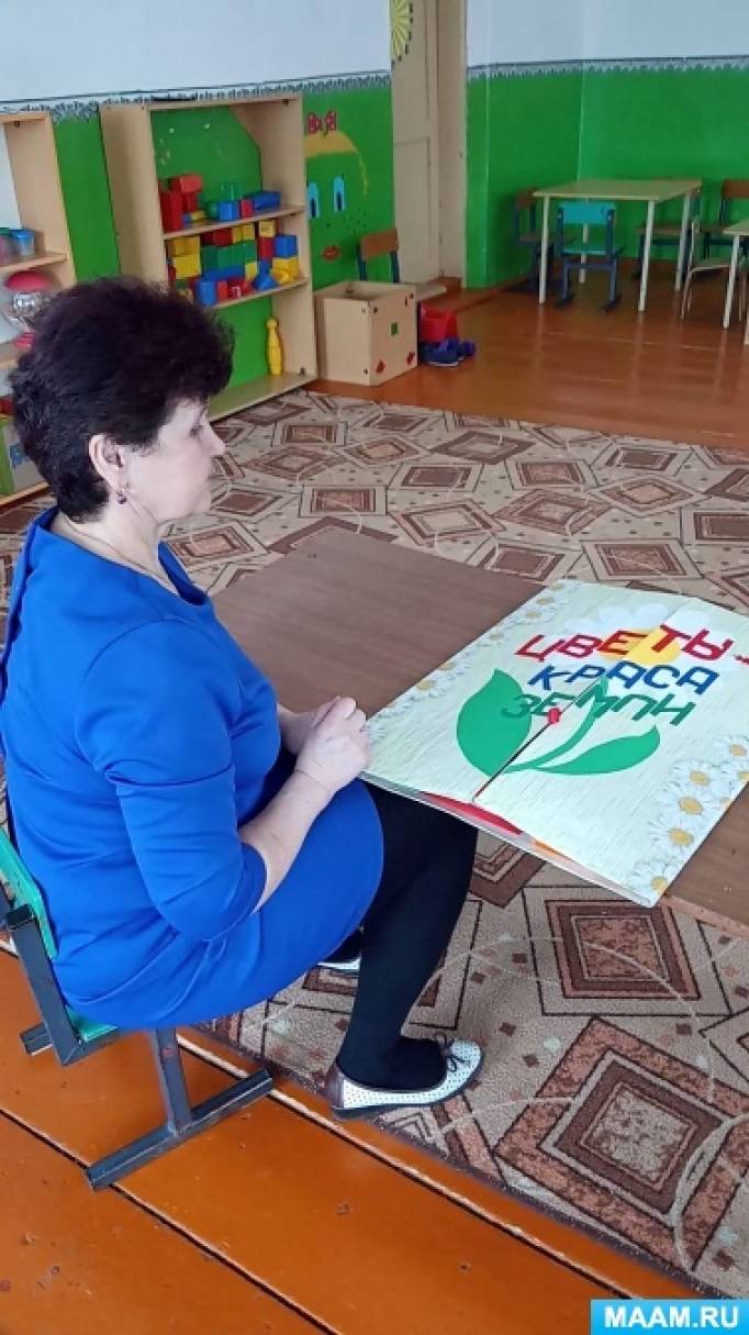 Лэпбук «Цветы — краса земли» Фото Лэпбук «Цветы — краса земли»