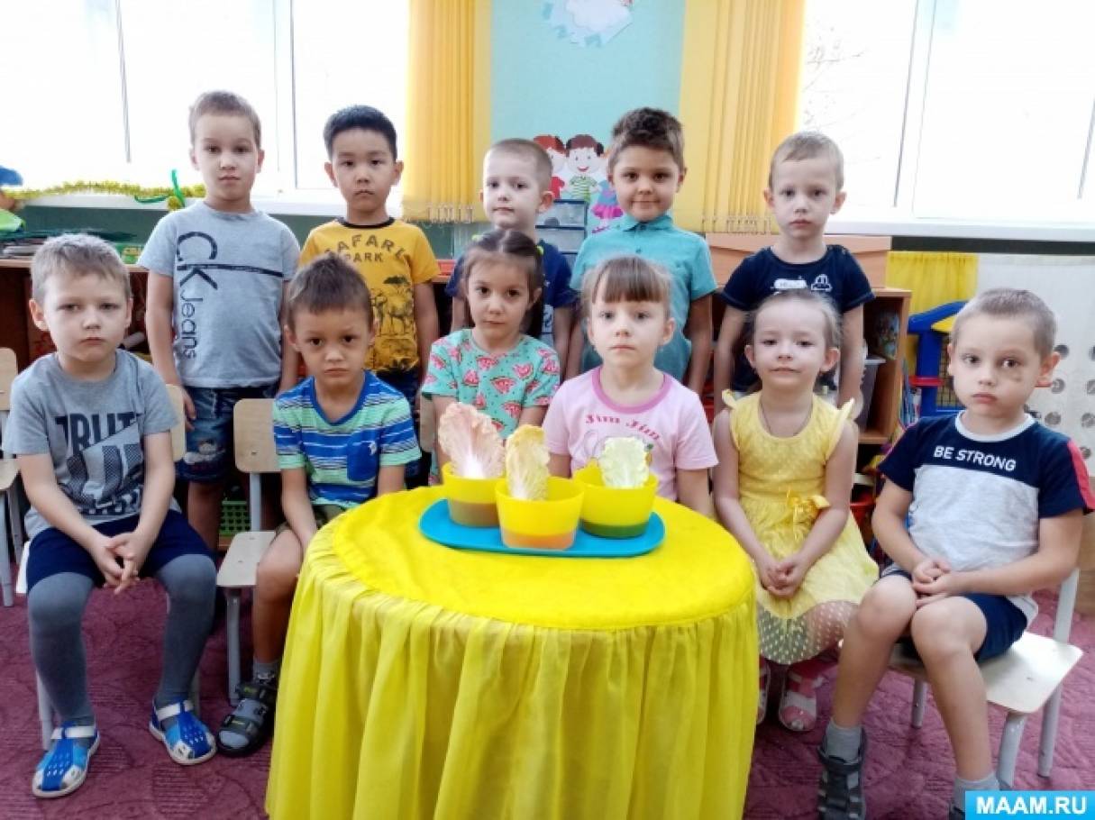 Проект «Играем в ученых» для дошкольного возраста Фото Проект «Играем в ученых» для дошкольного возраста