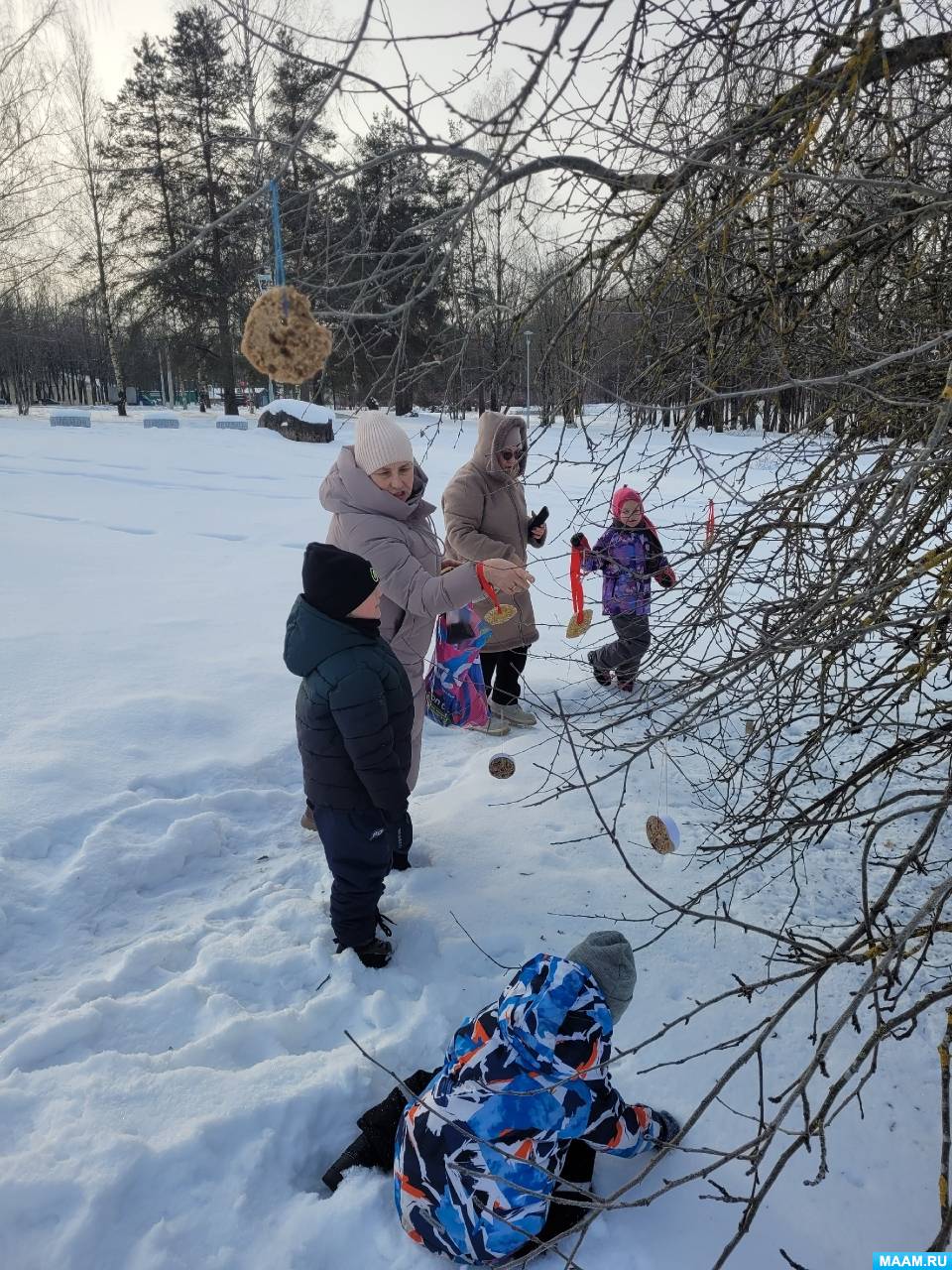 Фотоотчёт о реализации проекта в старшей группе Фотоотчёт о реализации проекта в старшей группе - фото