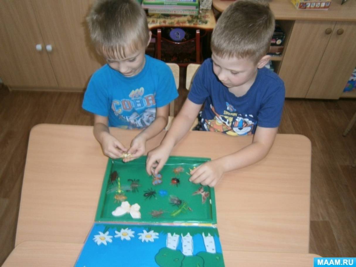Смотреть фотографию №5 Фото №5 В группе для уголка природы отведено хорошо осветлённое место комнатные растения мини огород