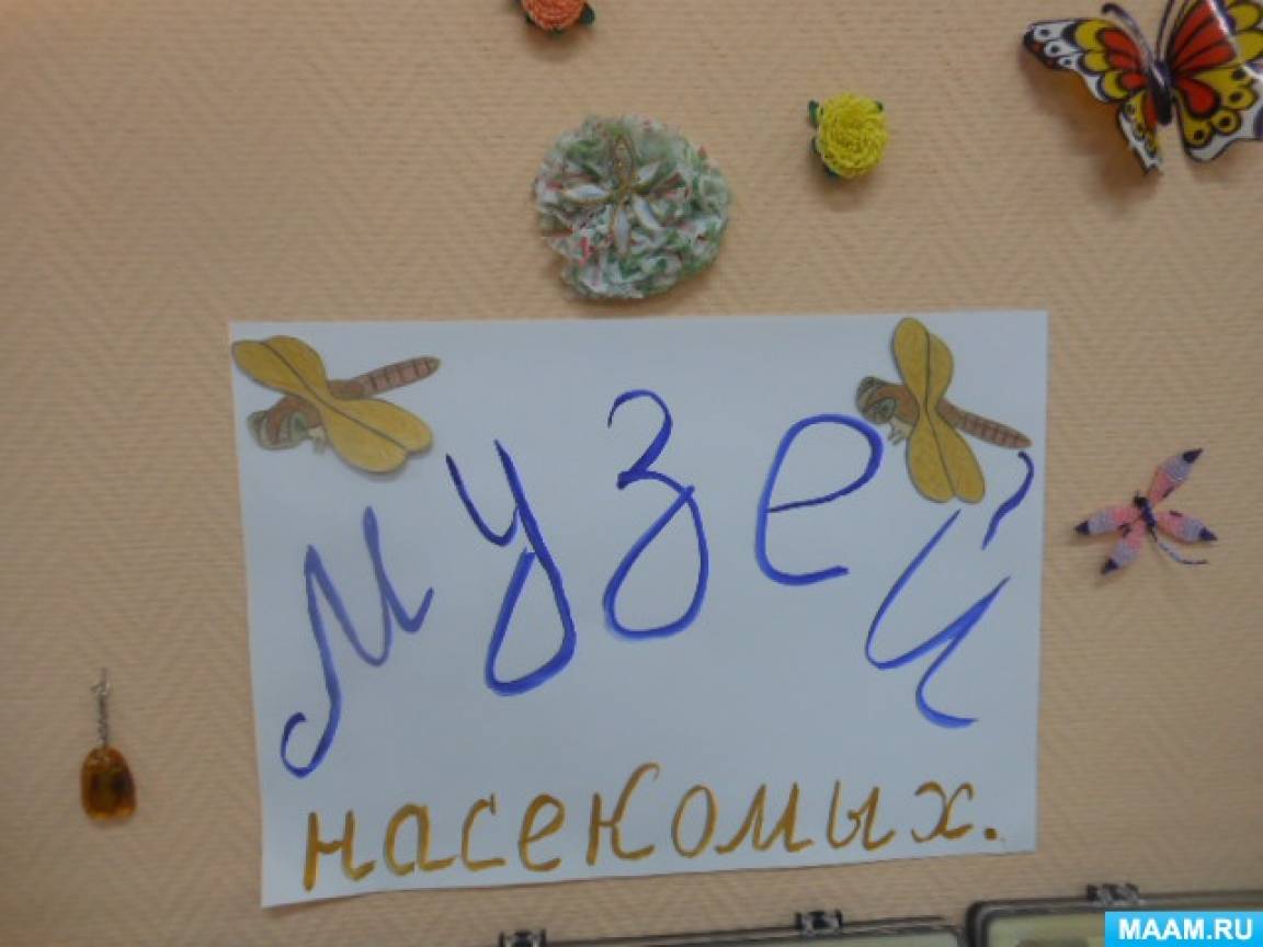 Мини-музей «Насекомые». Использование музейной педагогики в развитии дошкольников Фото Мини-музей «Насекомые». Использование музейной педагогики в развитии дошкольников