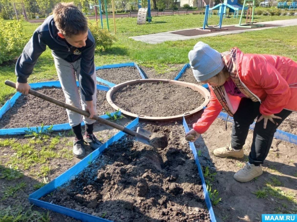 Фотоотчет «Урожай собирай!» (13 фото). Воспитателям детских садов ...