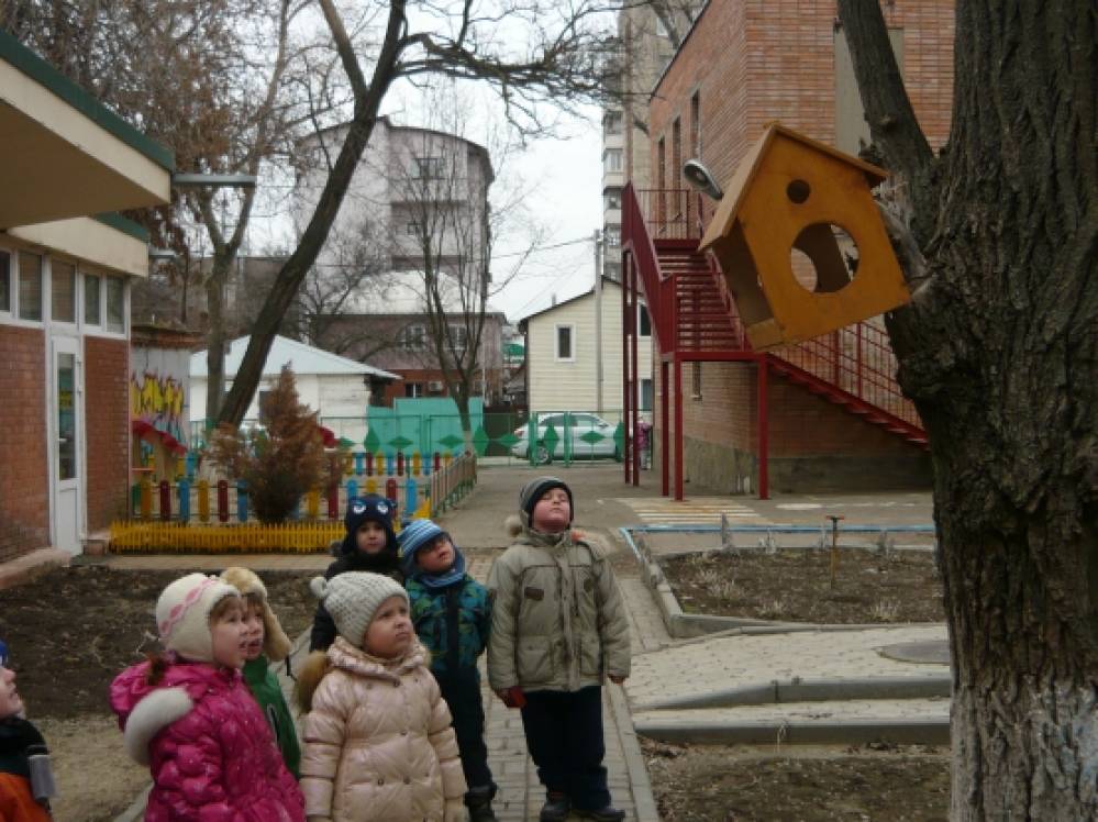 Тема занятия: В гости к деревьям. Фото Тема занятия: В гости к деревьям.