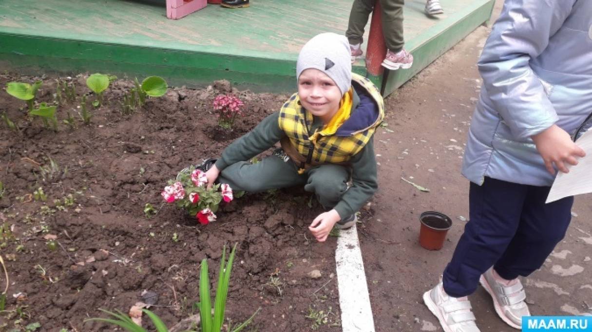 Наблюдение как метод развития познавательного интереса