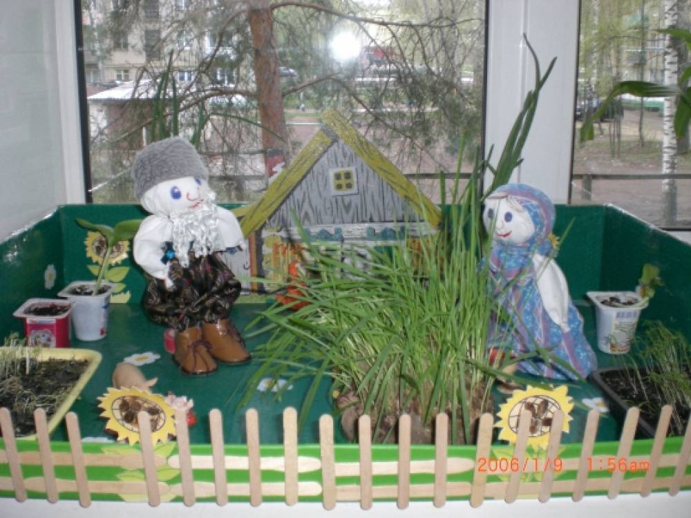 Смотреть фотографию №2 Фото №2 Огороды на подоконнике огород на окне