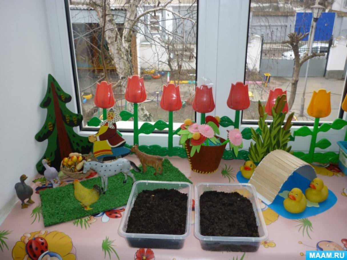 Конкурс сад на окне. Огород на окне в детском саду. Сад на окне в детском саду. Огород на окне в средней группе. Огород в средней группе детского сада.