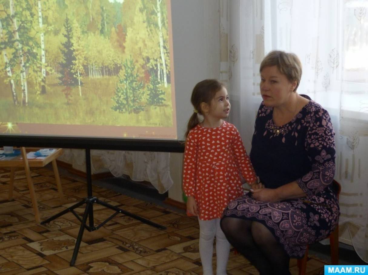 Смотреть фотографию №3 Фото №3 Развивающие задачи формировать умение находить одинаковые геометрические фигуры знания о транспорте закреплять знания об особенностях диких животных