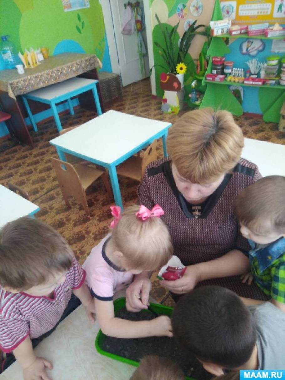 Мини-огород на подоконнике «В гостях у бабушки» во второй младшей группе Фото Мини-огород на подоконнике «В гостях у бабушки» во второй младшей группе