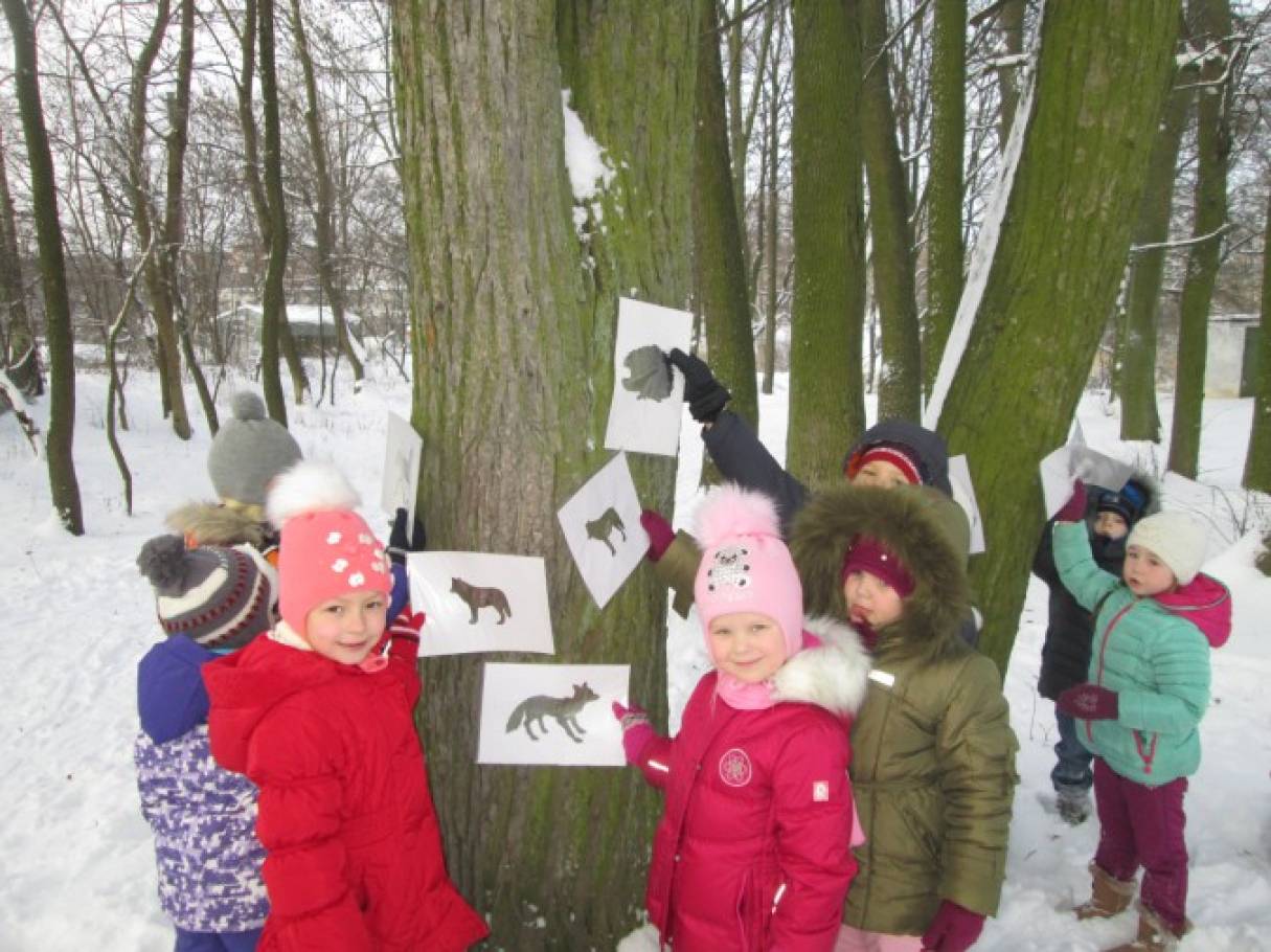 Прогулка по весеннему лесу младшая группа. Зимние прогулки в младшей группе. Экскурсия в парк зимой в подготовительной группе. Прогулка в детском саду зимой. Прогулка в старшей группе.