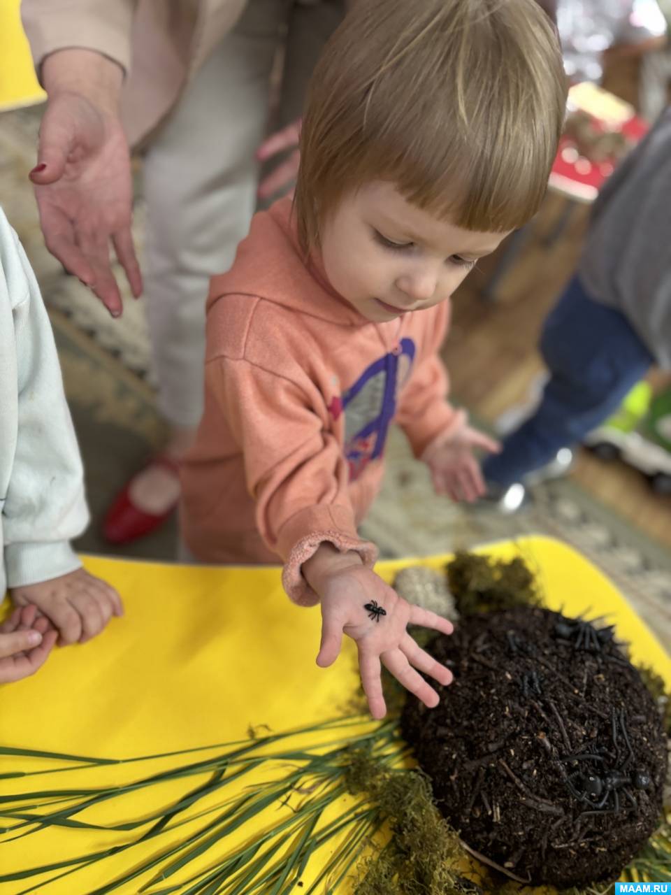 �������� ������� �� ����������� ���� � ���������� �������� � ������ ������� ������ ��������