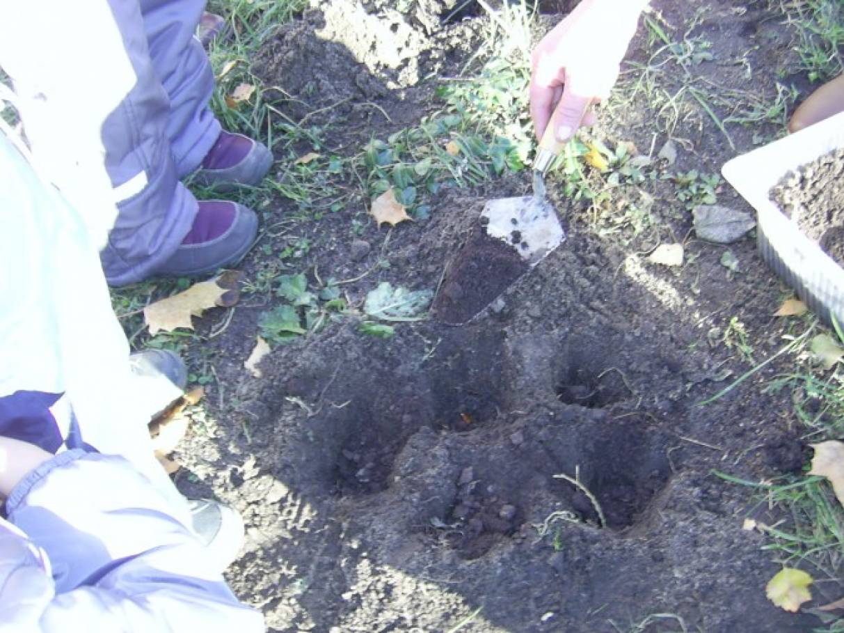 Взаимодействие воспитателя, детей средней группы и родителей. Субботник (фотоотчет) Фото Взаимодействие воспитателя, детей средней группы и родителей. Субботник (фотоотчет)