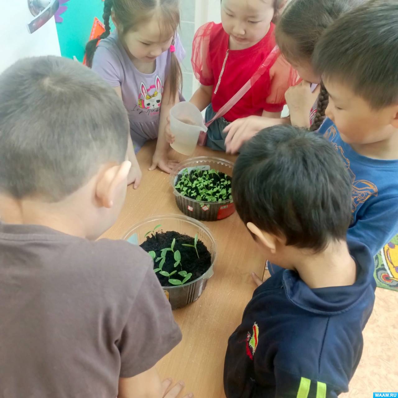 �������� �������������� ������� � ������� ������ �������� ��������