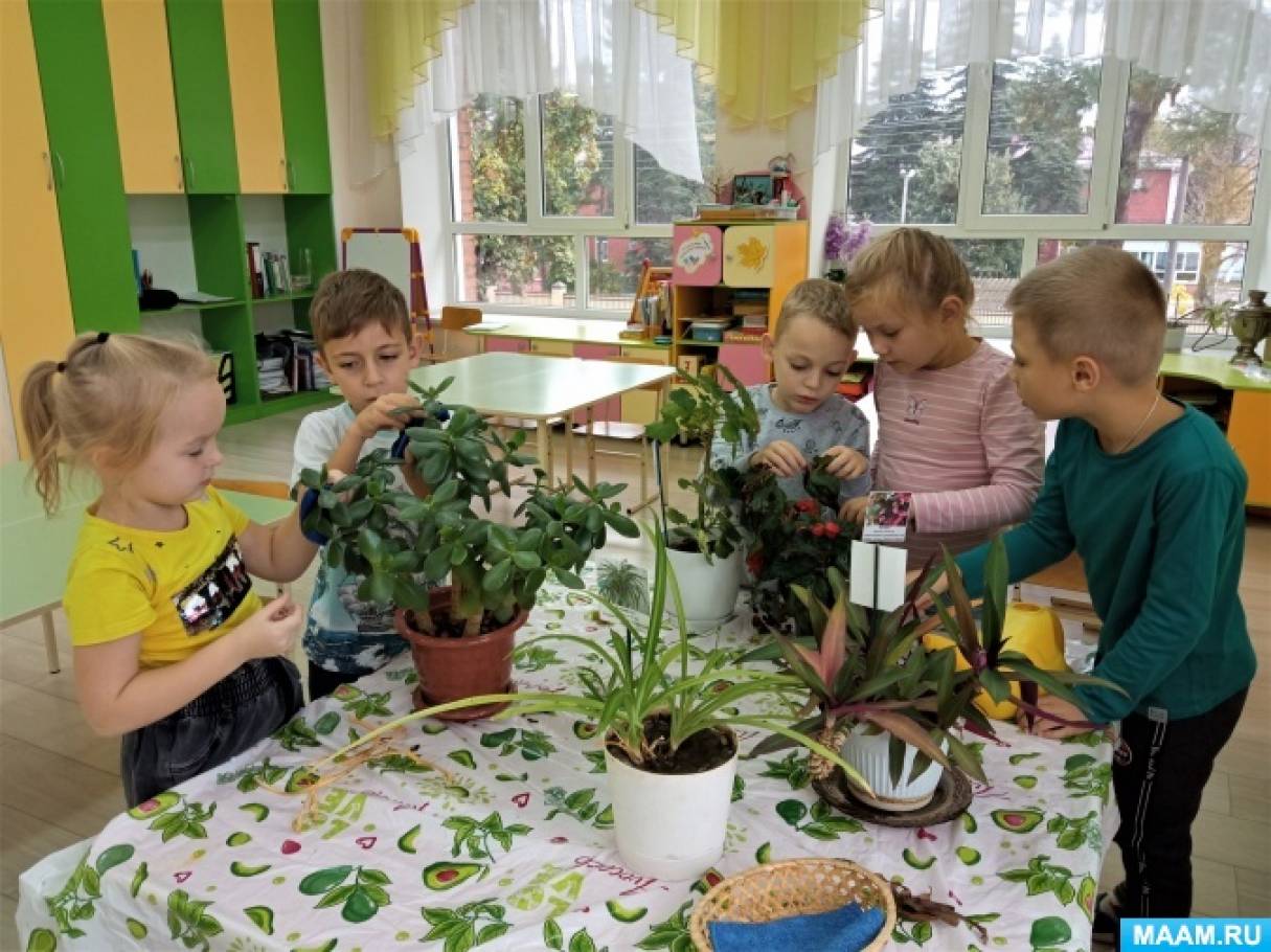 Смотреть фотографию №13 Фото №13 Основные виды труда детей дошкольного возраста В