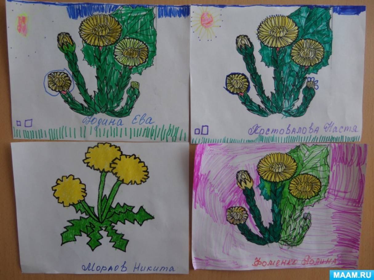Рисунок на тему первоцветы. Первоцветы Кузбасса рисунки детей. Первоцветы Кузбасса рисунки букетов. Первоцветы кузбасса рисунки