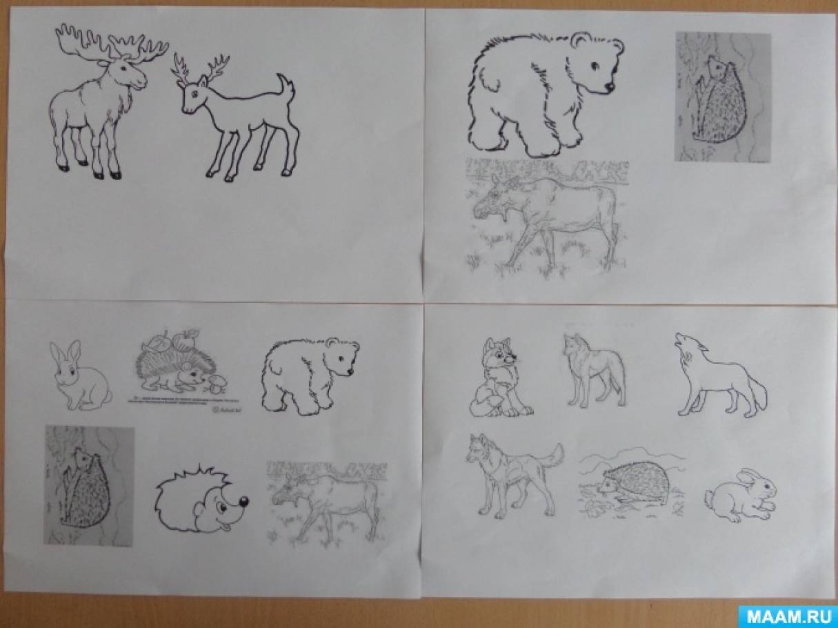 Занятие дикие животные подготовительной группе. Рисование на тему Дикие животные. Рисование диких животных в средней группе. Рисование по теме Дикие животные в средней группе. Рисование в старшей группе на тему Дикие животные.