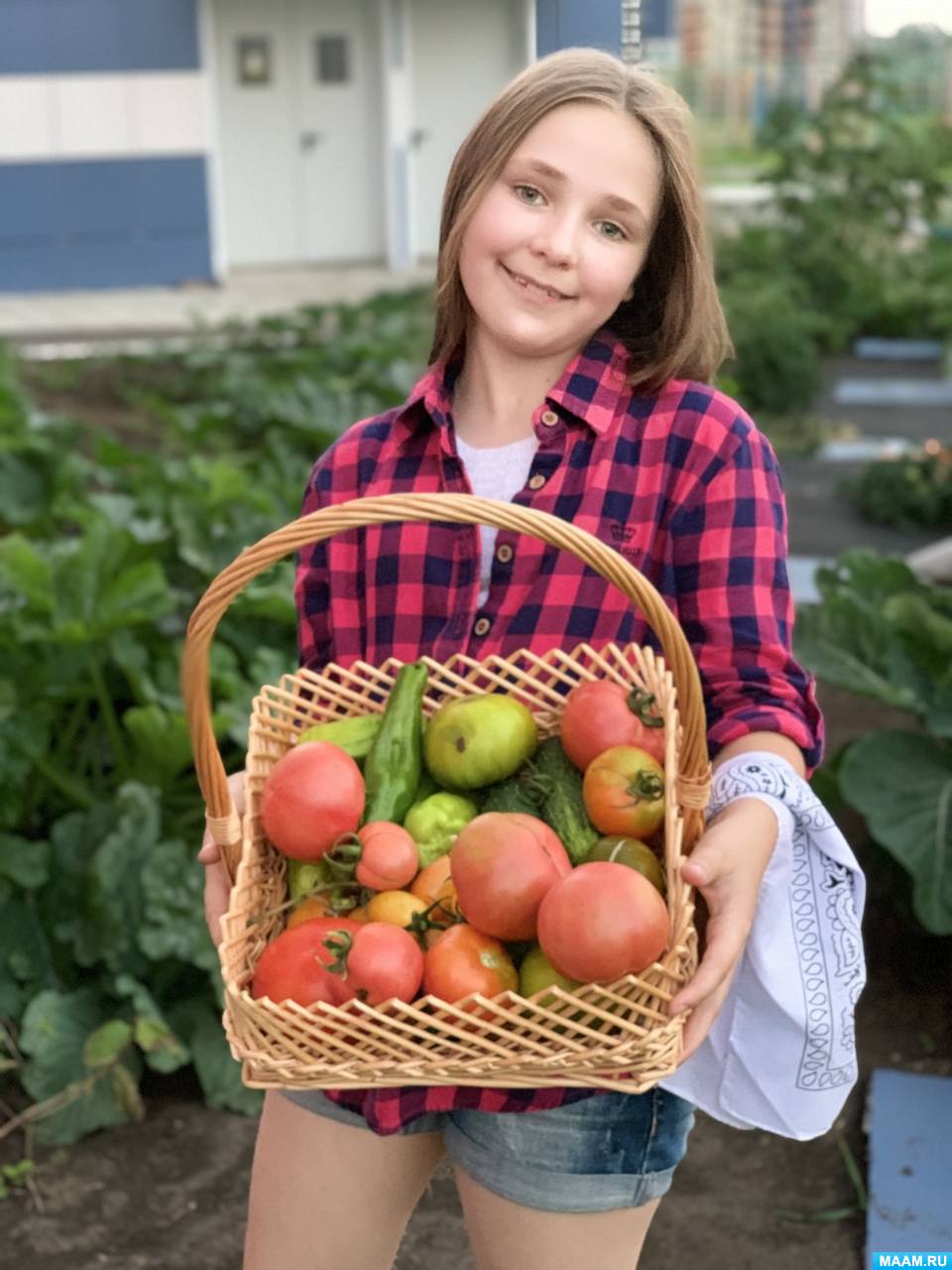 Агроном. Знакомство с профессией. Воспитателям детских садов, школьным ...