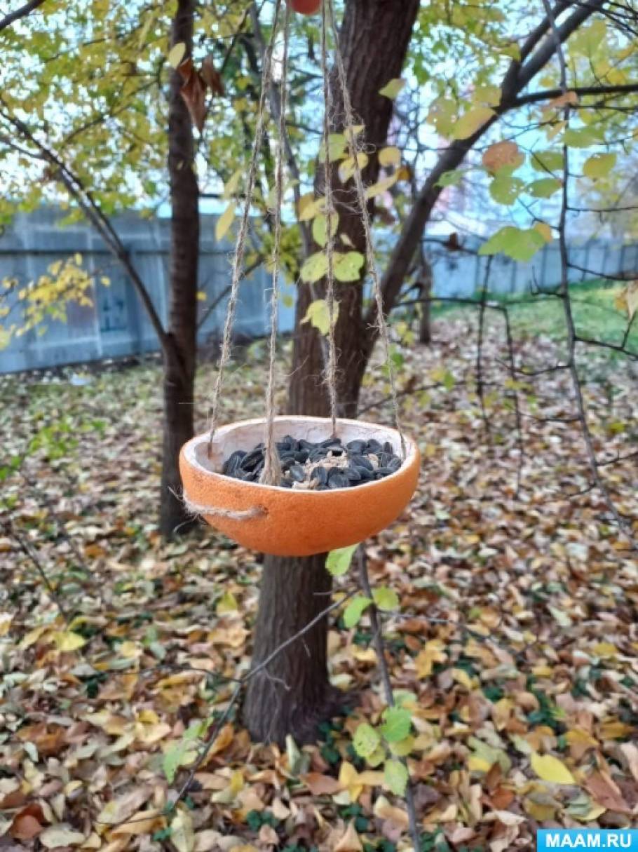 Изготовление экокормушки своими руками. Фотоотчет (4 фото ...