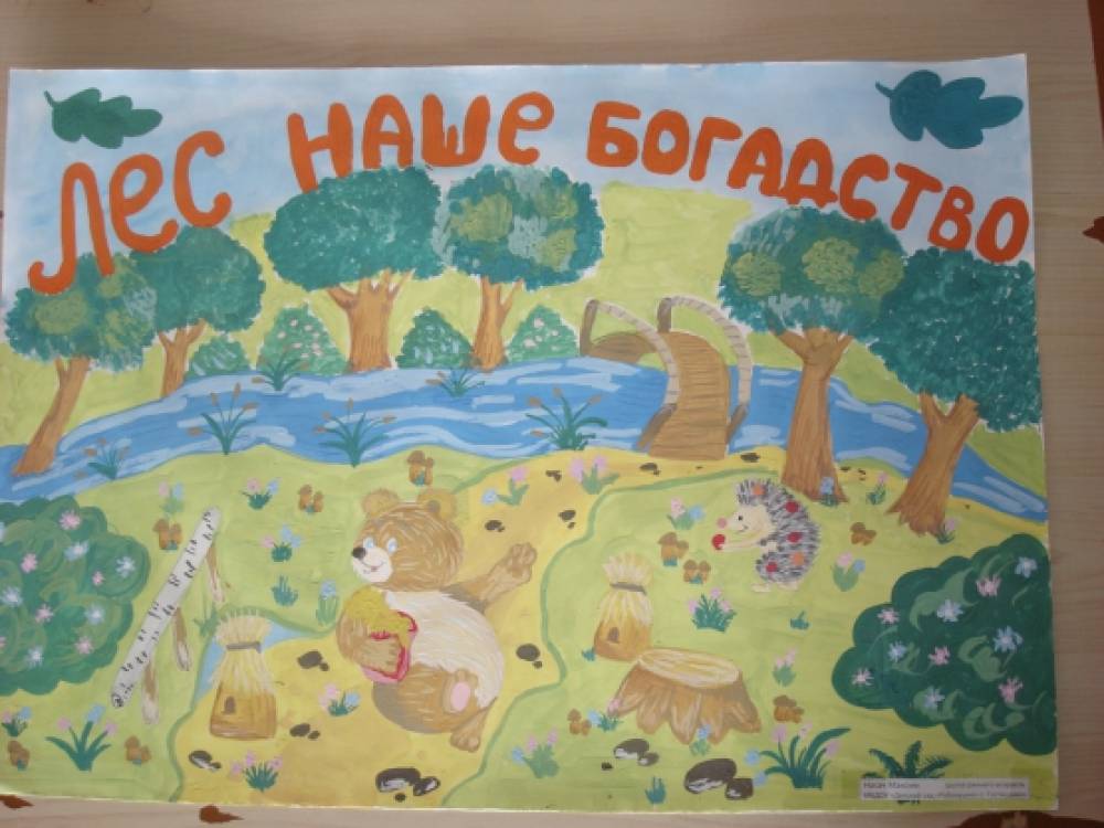 День леса плакат. Плакат на тему лес. Плакат лес наше богатство. Лес наше богатство рисунки. Плакаты для детского сада.